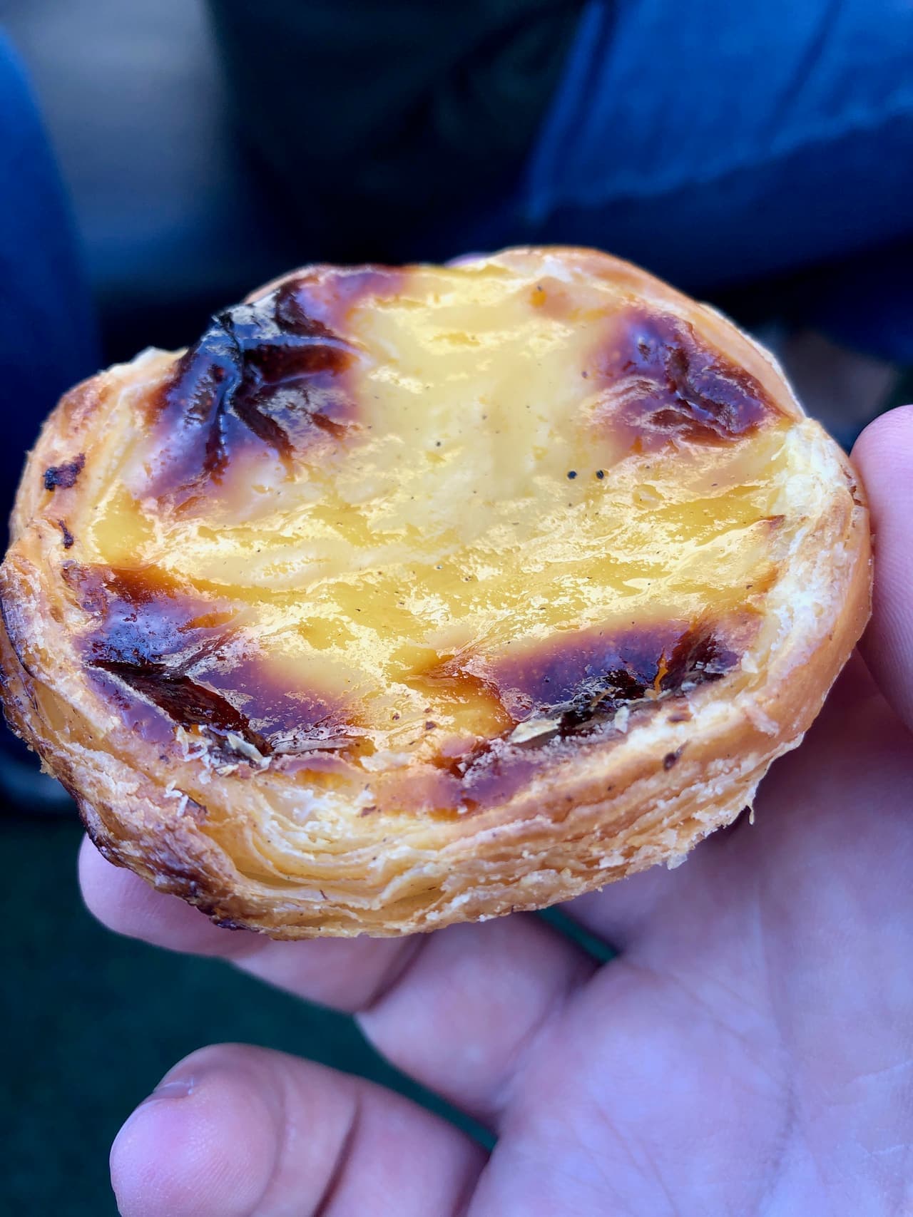 A single custard tart with a blistered, caramelised top sitting on a small plate.